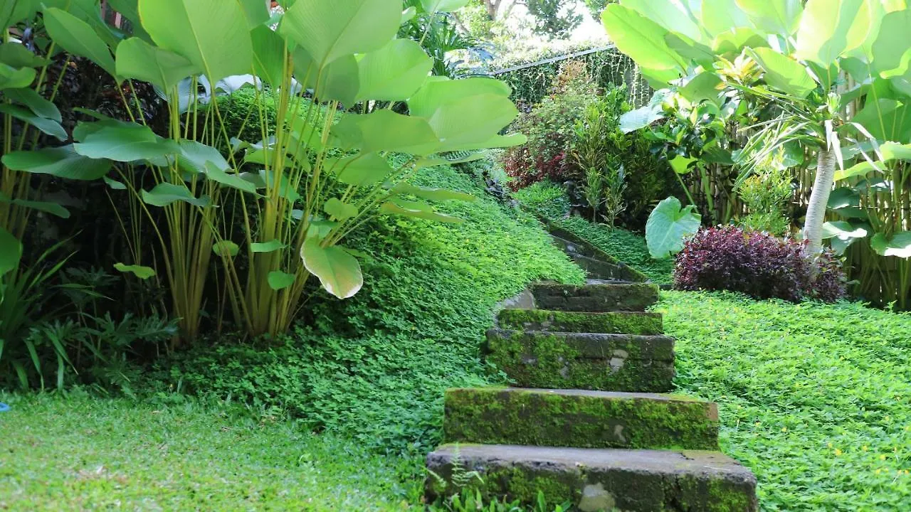 Kinari Ubud Hotel Guest house Ubud (Bali)